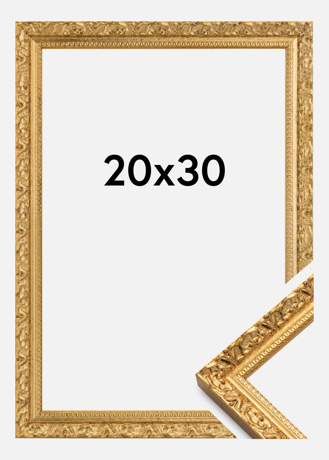 Product Image for Ramme Smith Guld 20x30 cm