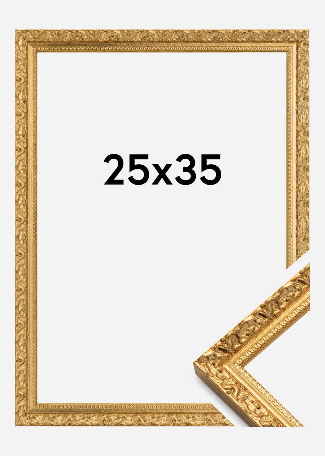 Product Image for Ramme Smith Guld 25x35 cm