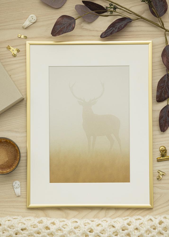 Ramme New Lifestyle Akrylglas Guld 30x40 cm