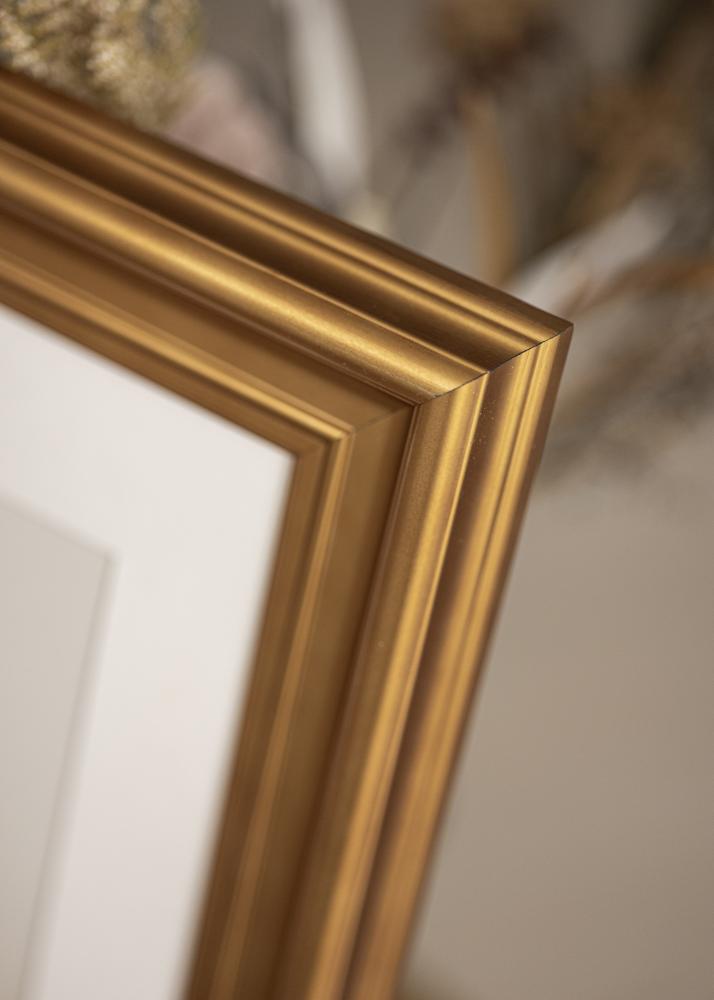 Ramme Mora Premium Guld 32,9x48,3 cm (A3+)