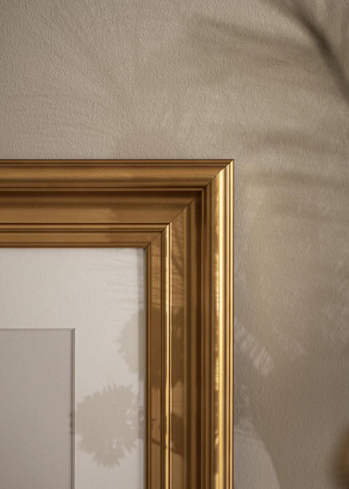 Ramme Mora Premium Guld 32,9x48,3 cm (A3+)