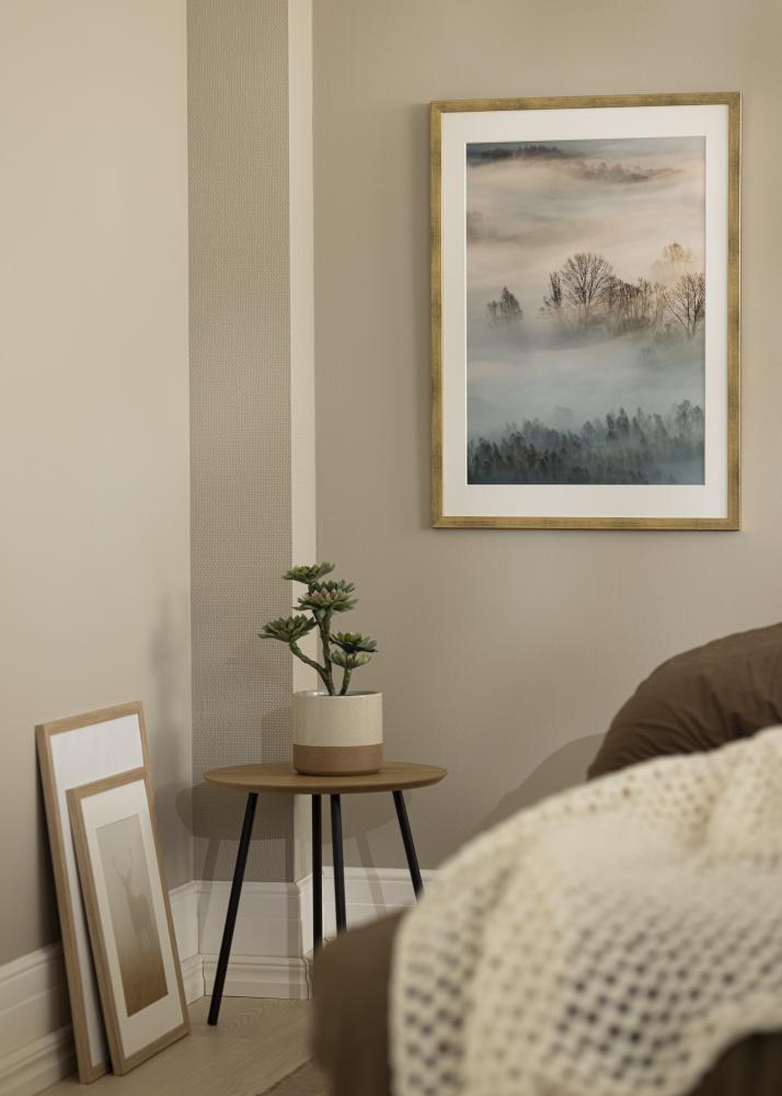 Ramme Stilren Akrylglas Guld 30x40 cm