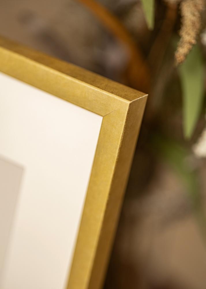 Ramme Ares Akrylglas Guld 42x59,4 cm (A2)