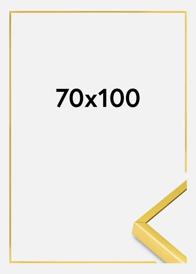 Aluminiumramme Akrylglas Guld 70x100 cm
