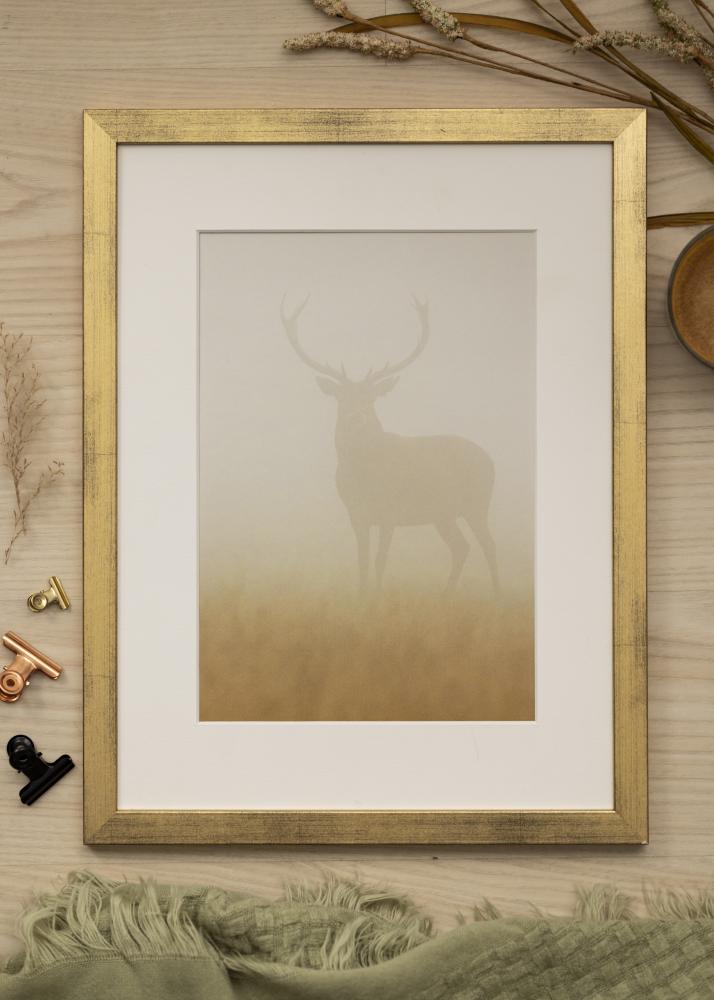 Ramme Stilren Akrylglas Guld 30x40 cm