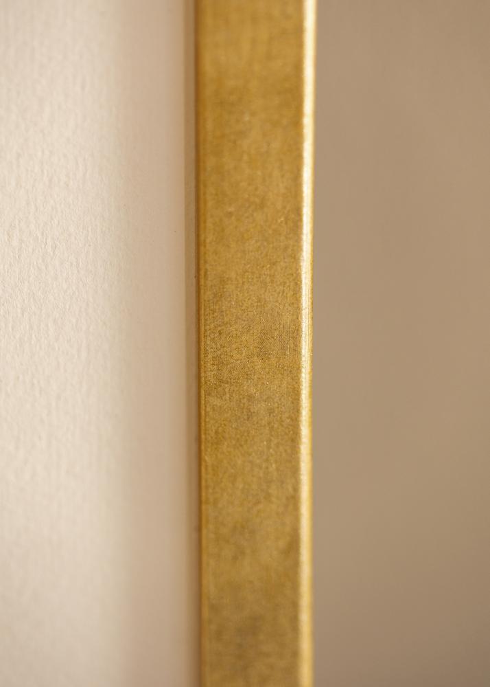 Ramme Ares Akrylglas Guld 42x59,4 cm (A2)