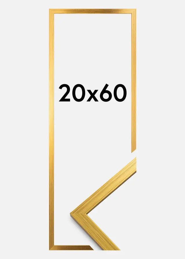 Ramme Edsbyn Akrylglas Guld 20x60 cm