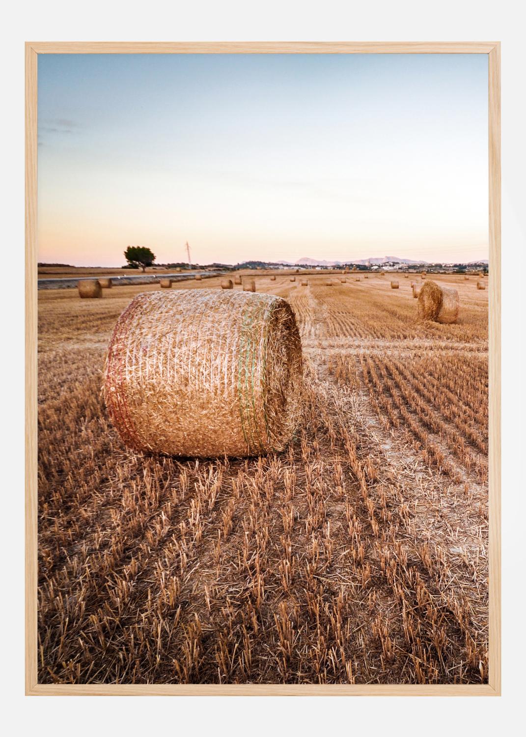 Product Image for Hay Fields Plakat (30x40 cm)