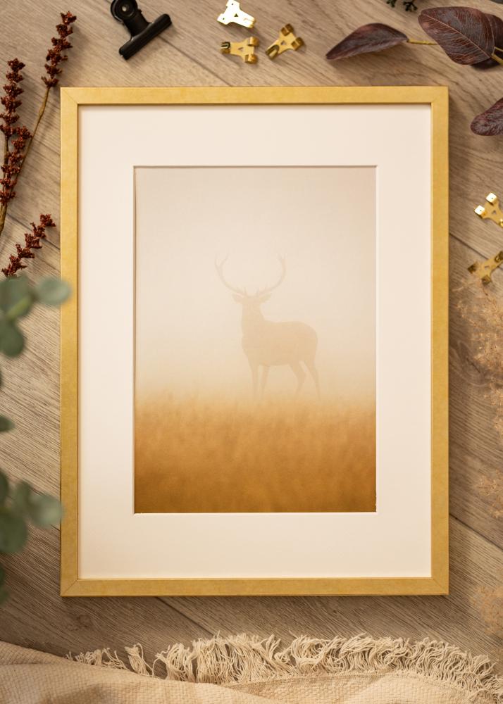 Ramme Ares Akrylglas Guld 42x59,4 cm (A2)