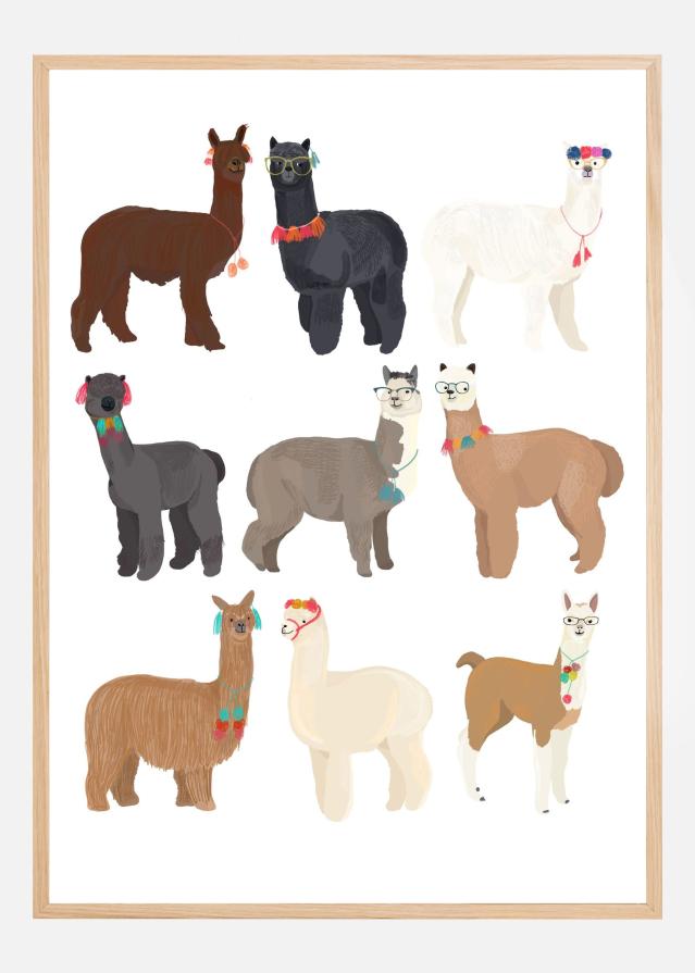 Standing Lamas In Glasses Plakat