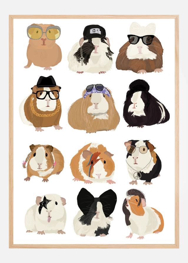 Music Guineapig Plakat