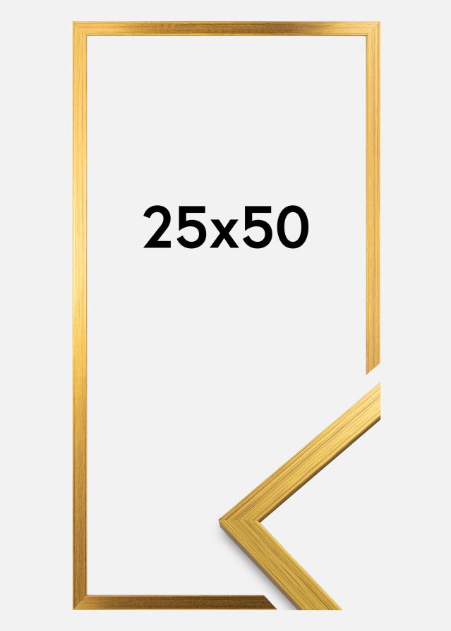 Ramme Edsbyn Akrylglas Guld 25x50 cm