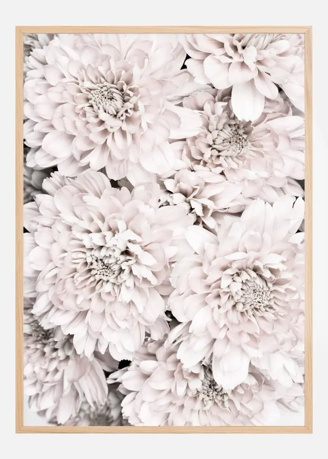 Chrysanthemum II Plakat