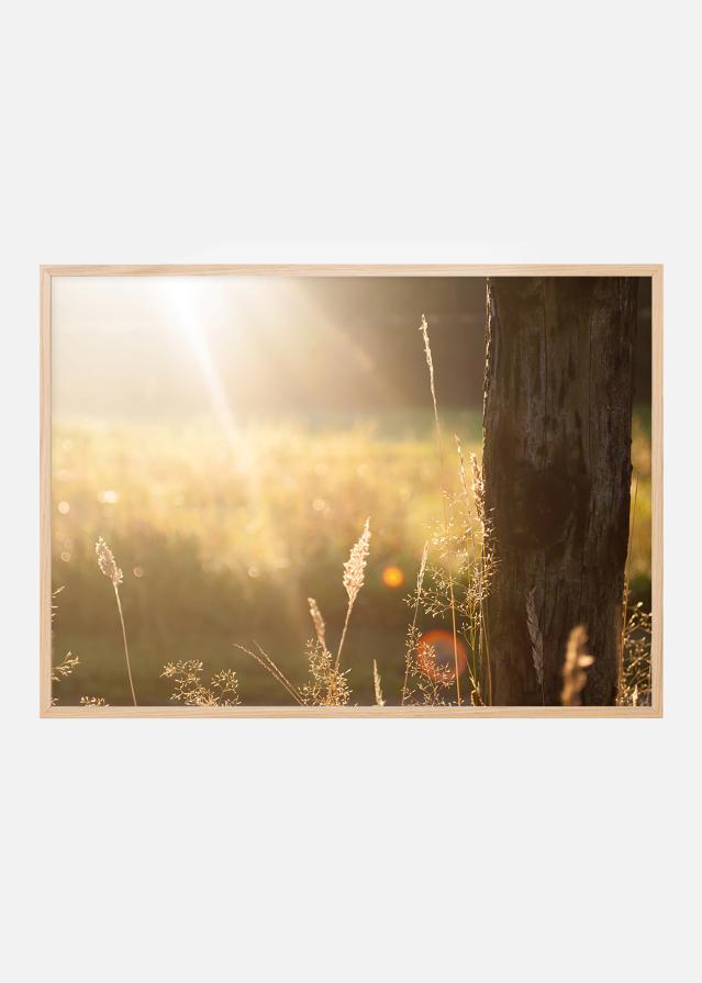 Solstråle - Plakat