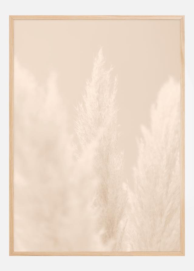 Pampas Grass II Plakat