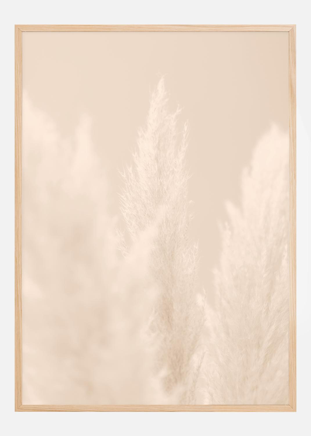 Product Image for Pampas Grass II Plakat (21x29.7 cm (A4))