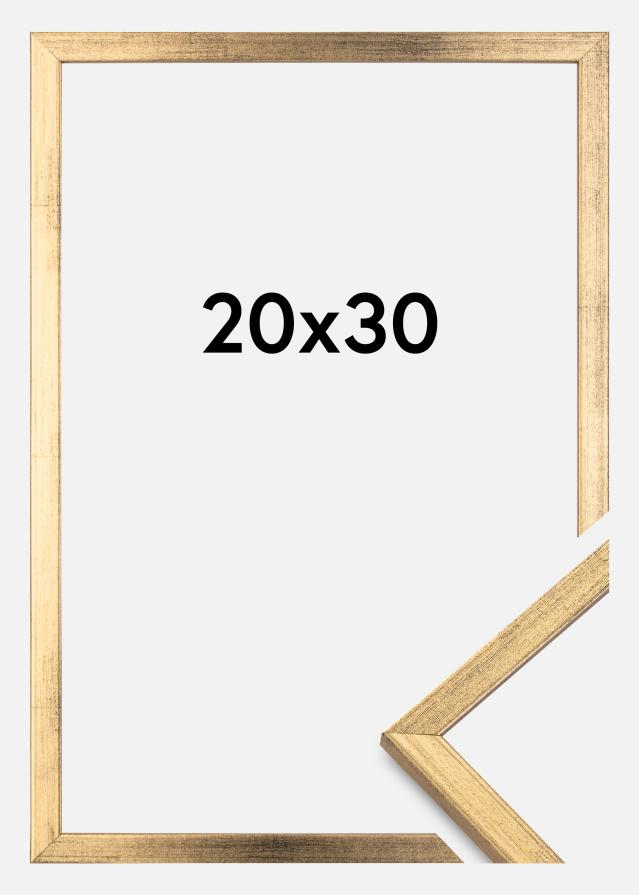 Ramme Galant Guld 20x30 cm
