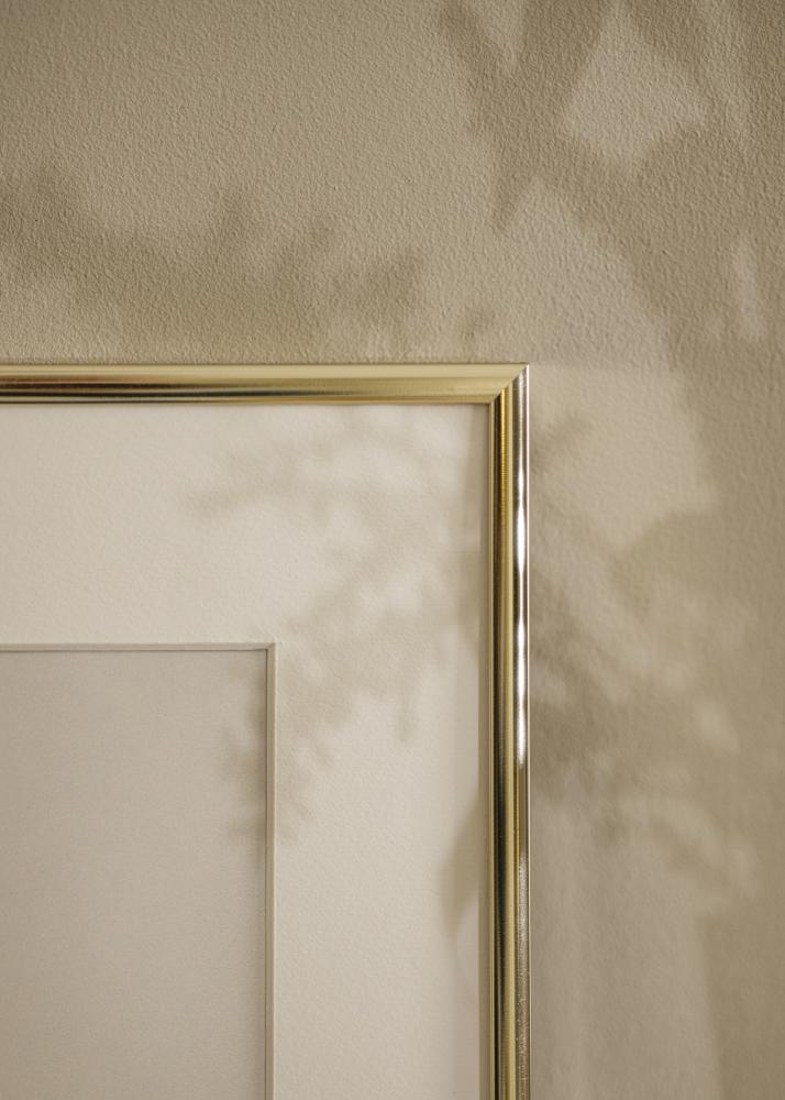 Ramme Aluminium Akrylglas Blank Guld 50x70 cm