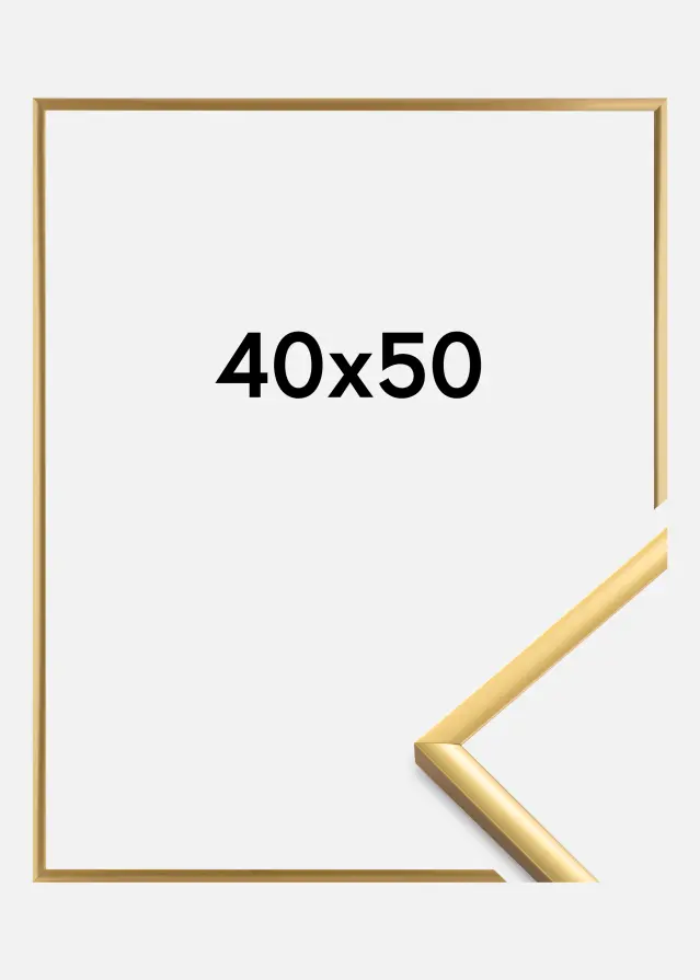 Ramme New Lifestyle Akrylglas Shiny Gold 40x50 cm