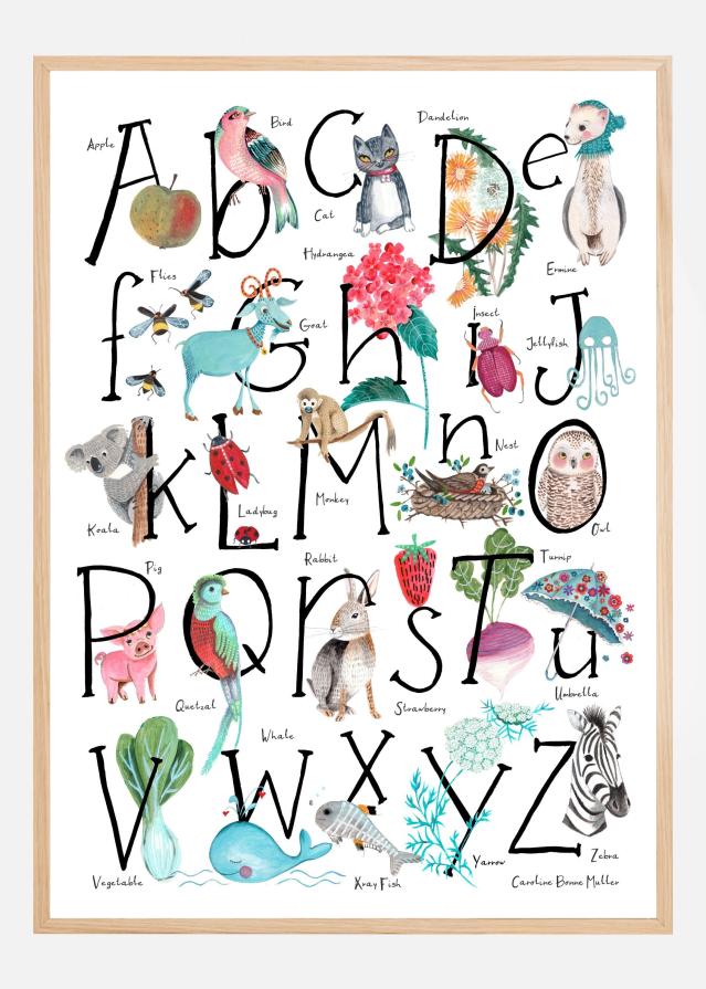 ABC illustration Plakat