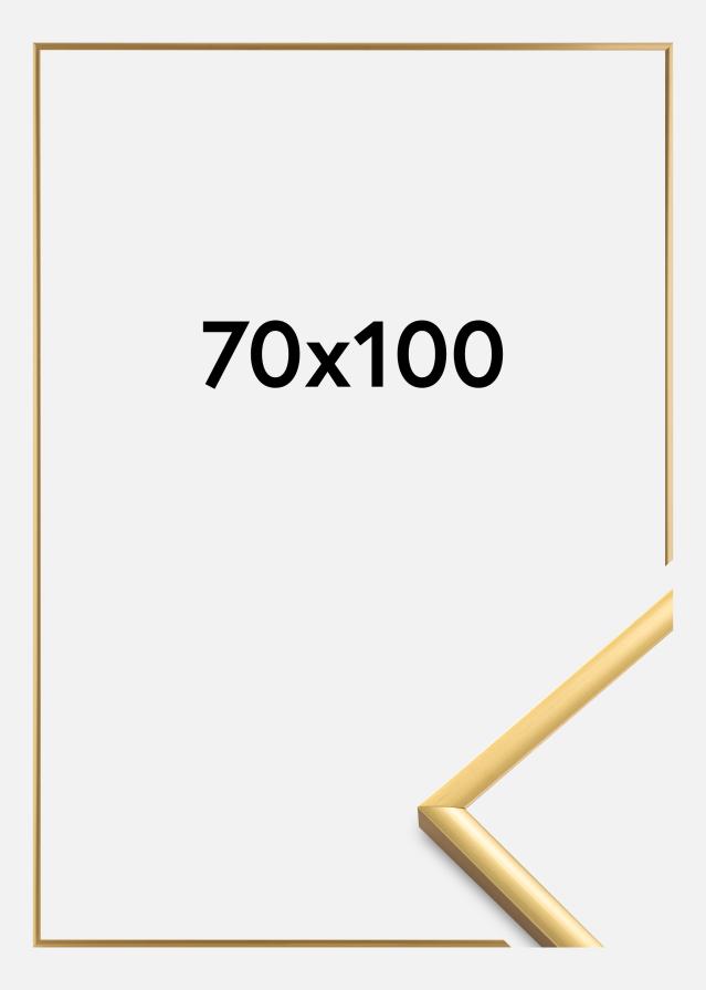 Ramme New Lifestyle Akrylglas Shiny Gold 70x100 cm
