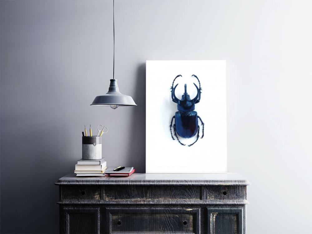 Skalbagge - 50x70 cm