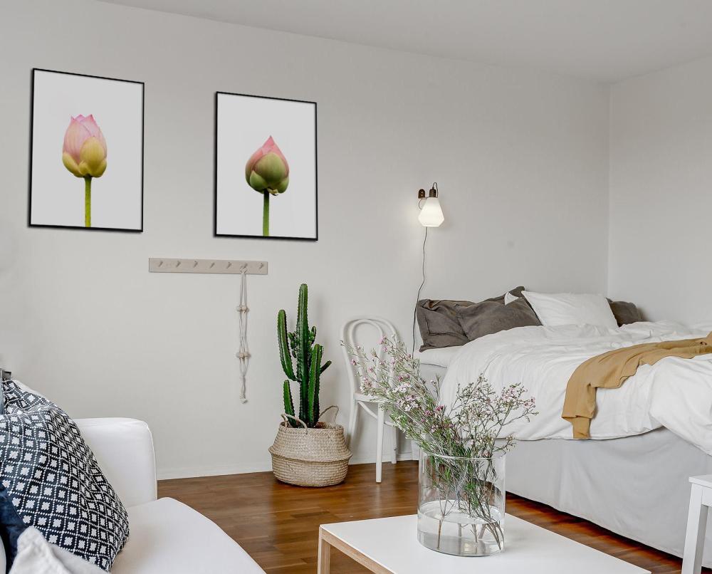 Lotusflower I - 50x70 cm Plakat