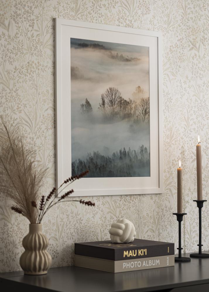 Ramme Trendline Akrylglas Hvid 30x70 cm
