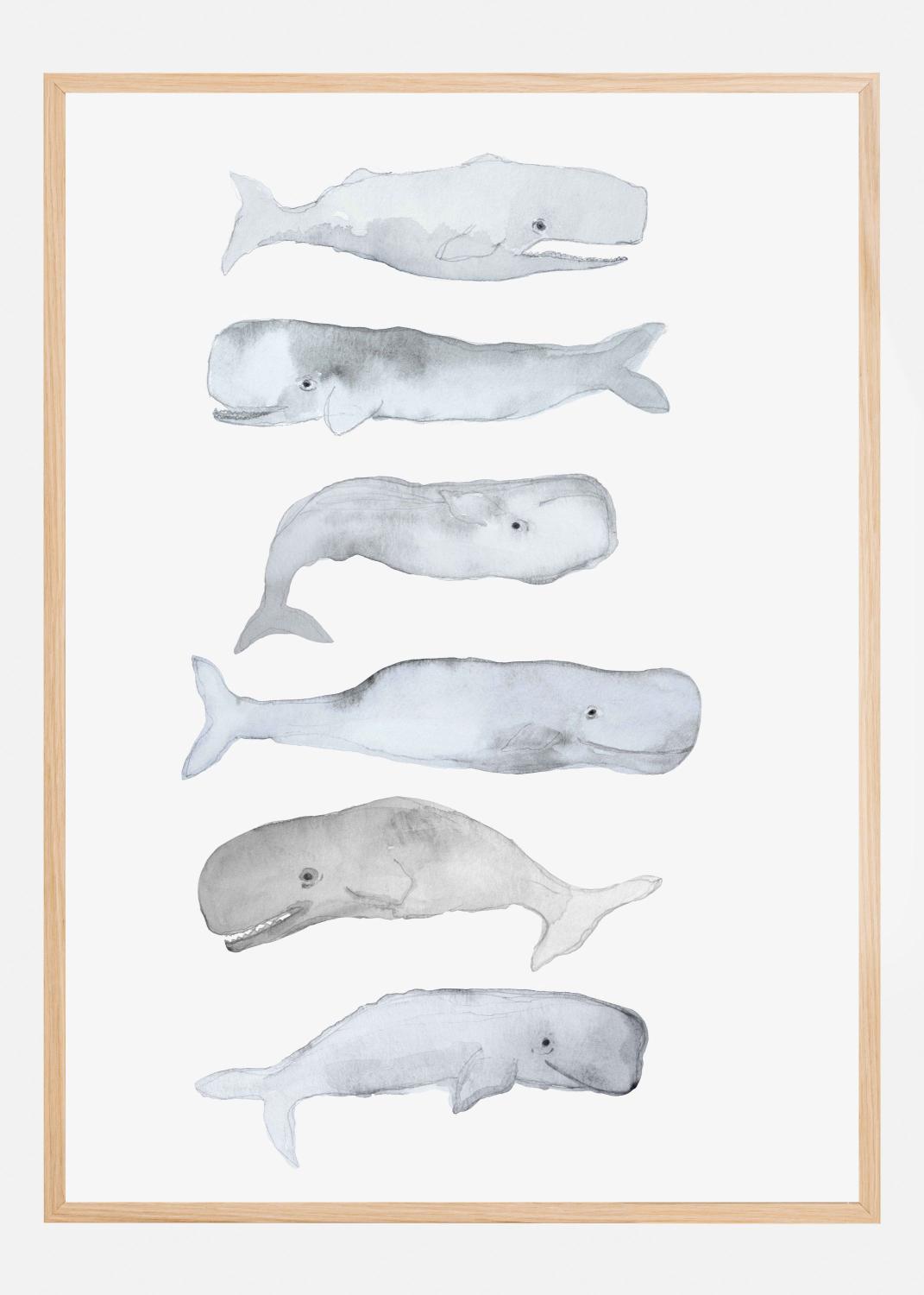 Product Image for Kids Line Whale Art Plakat (21x29.7 cm (A4))