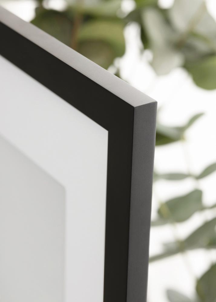 Ramme Jämtland Akrylglas Sort 9x80 cm