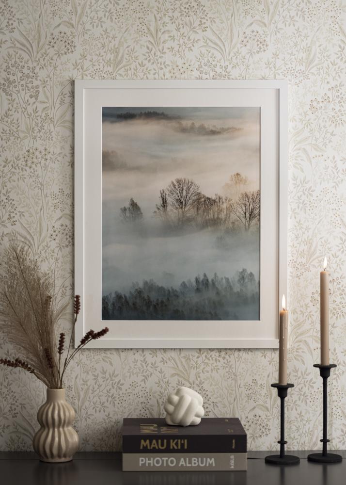 Ramme Trendline Akrylglas Hvid 30x70 cm