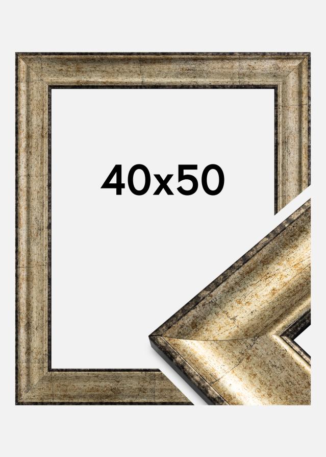 Ramme Saltsøbadet Antikguld 40x50 cm
