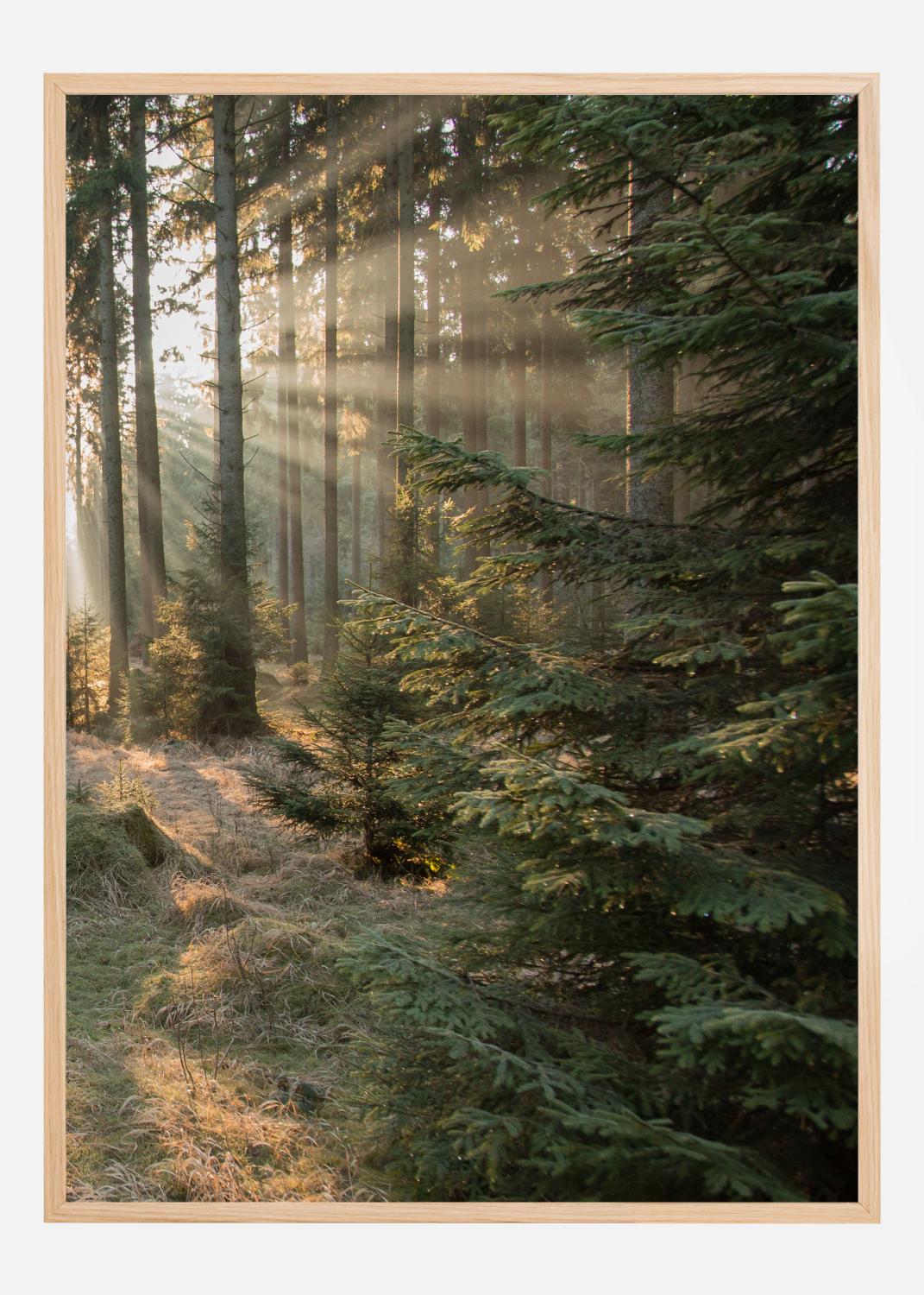 Product Image for Rays part 2 Plakat (21x29.7 cm (A4))