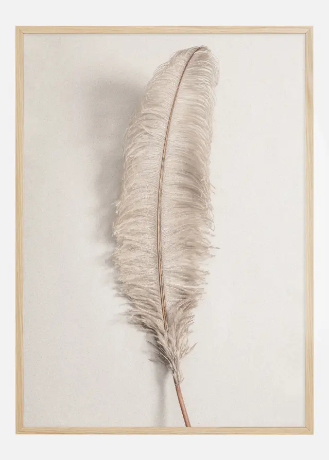 Feather 002 Plakat
