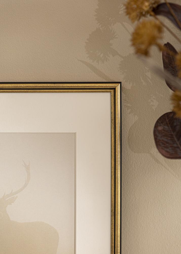Ramme Horndal Guld 35x50 cm