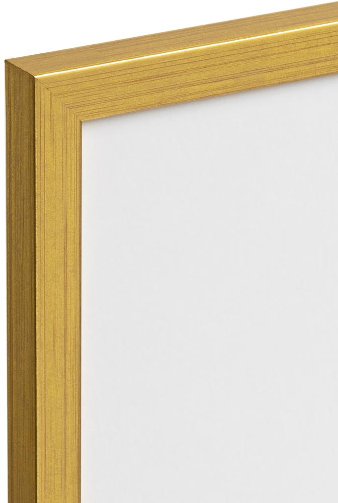 Ramme Gold 30x40 cm
