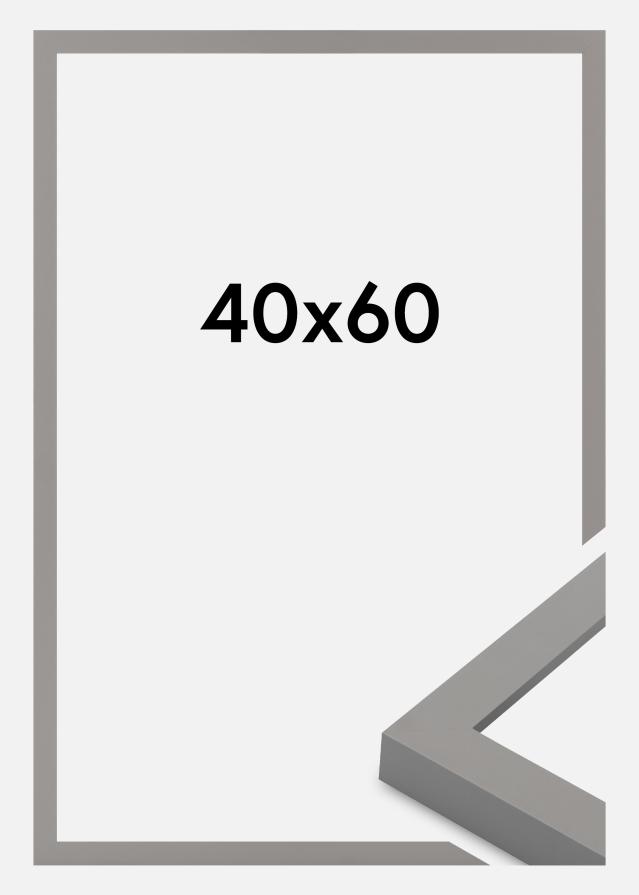 Ramme Selection Akrylglas Grey 40x60 cm