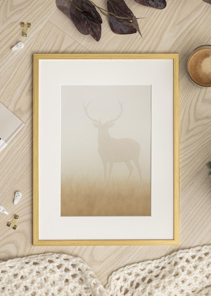 Ramme Edsbyn Akrylglas Guld 10x12 inches (25,4x30,48 cm)