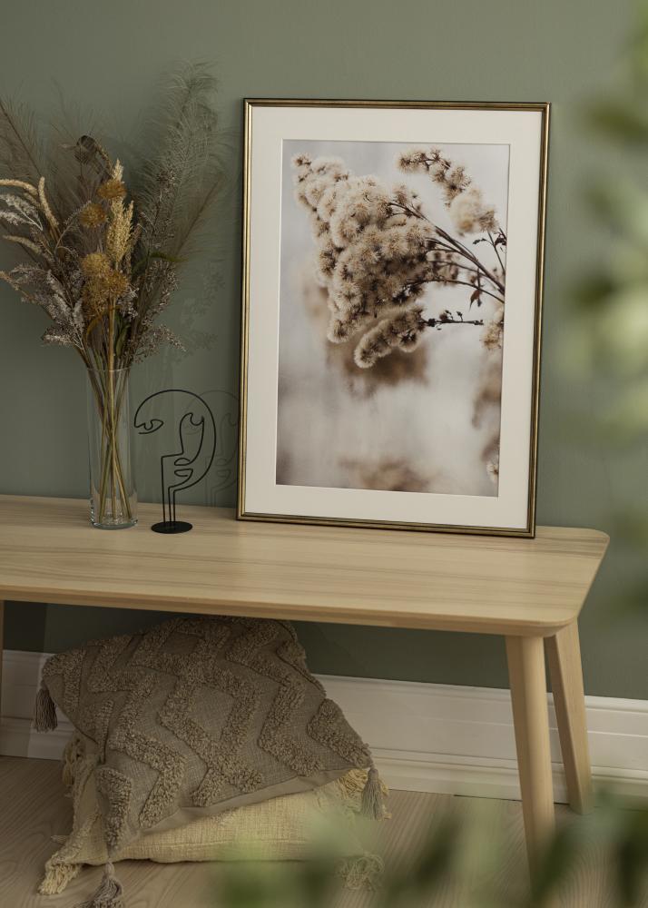 Ramme Horndal Guld 35x50 cm