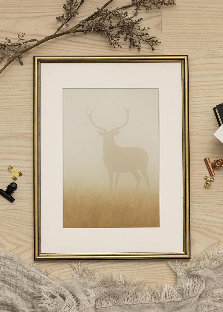 Ramme Horndal Guld 35x50 cm