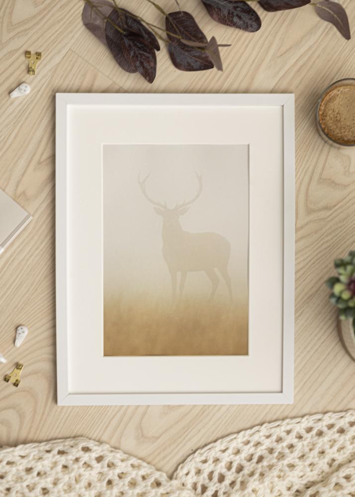 Ramme Trendy Akrylglas Hvid 40x60 cm
