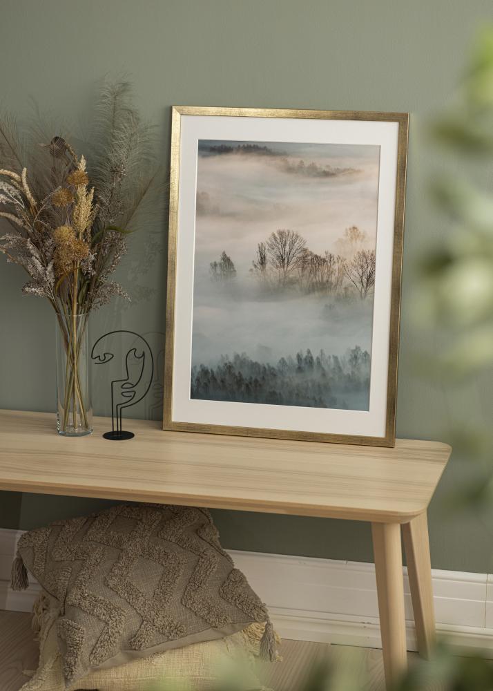 Ramme Stilren Akrylglas Guld 50x70 cm