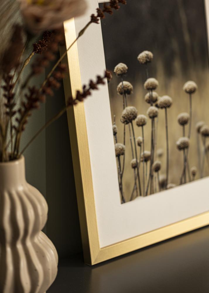 Ramme Selection Akrylglas Guld 20x20 inches (50,8x50,8 cm)