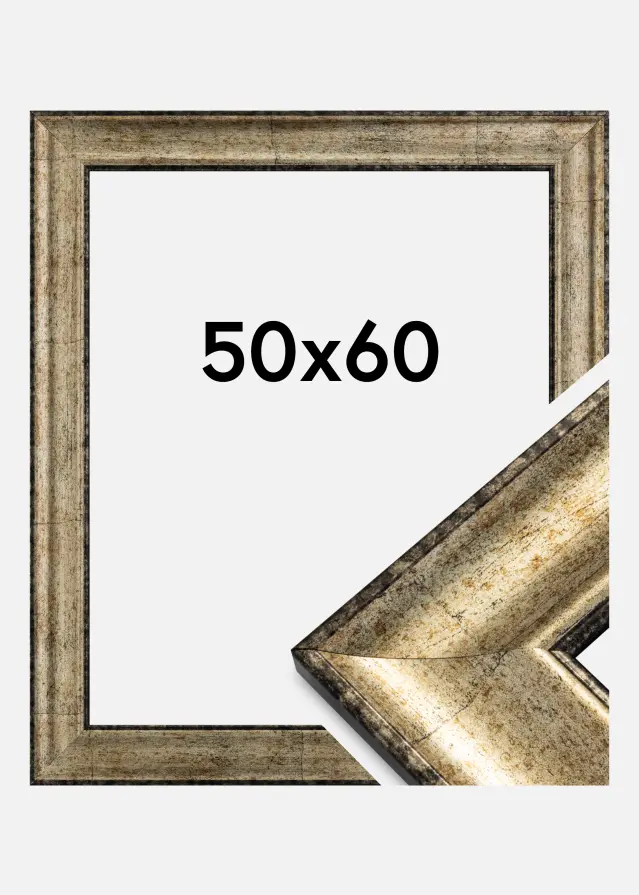 Ramme Saltsøbadet Antikguld 50x60 cm