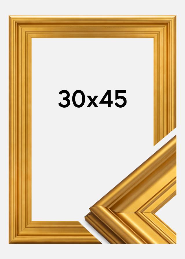 Ramme Mora Premium Guld 30x45 cm