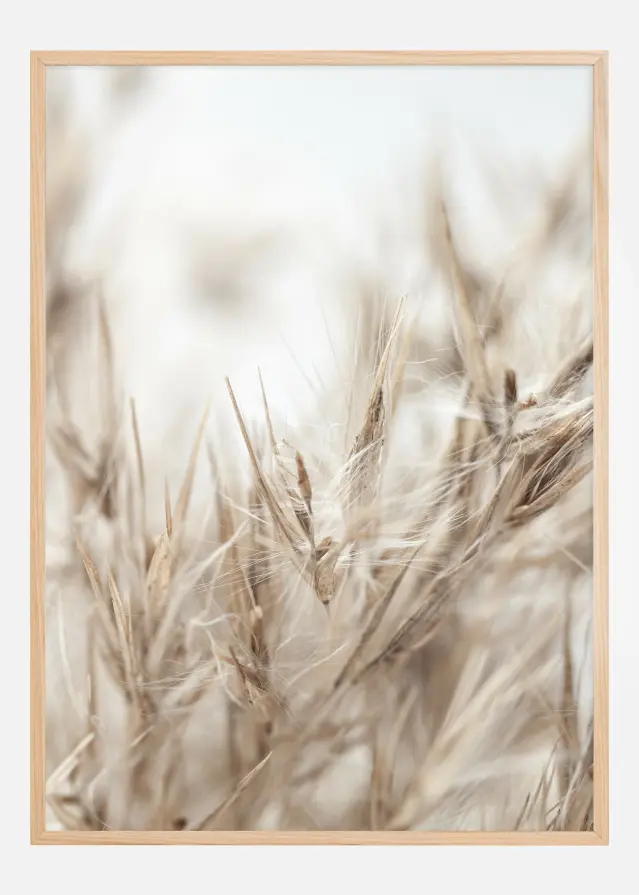 Dried Up ll Plakat