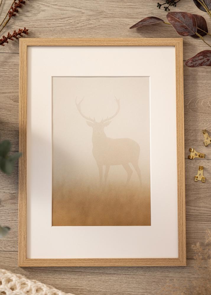Ramme Moderne Akrylglas Eg 29.7x42 cm (A3)