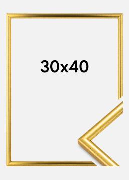 Ramme Newline Guld 30x40 cm