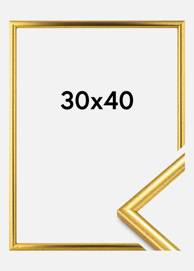 Ramme Newline Guld 30x40 cm