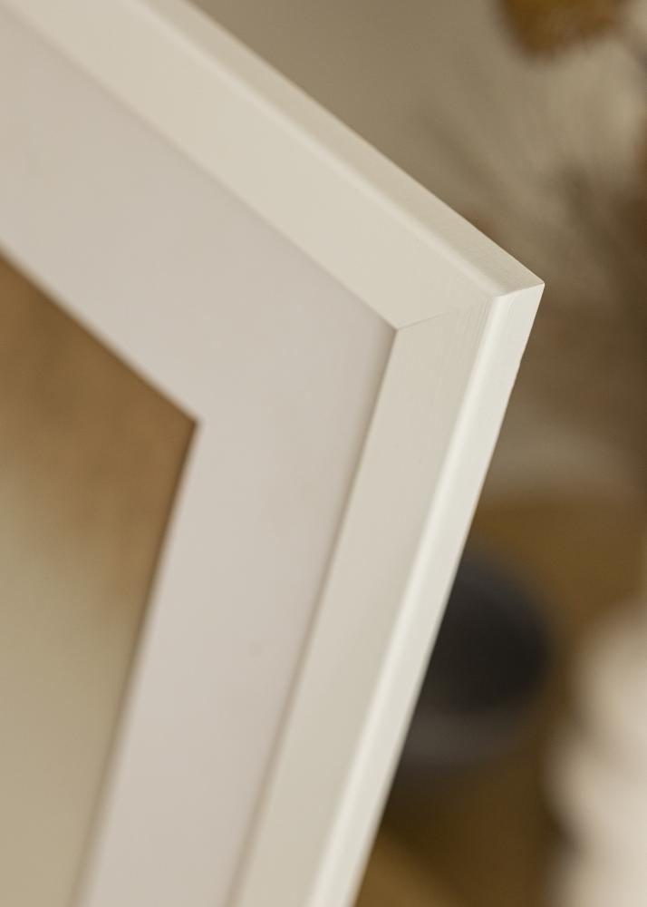 Ramme Trendline Akrylglas Hvid 30x70 cm